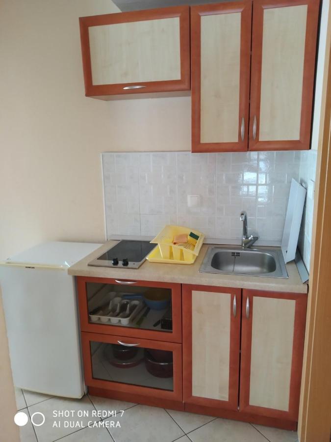 Apartmani Glavina ザオストログ エクステリア 写真